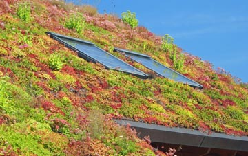 Hillcross living roof systems