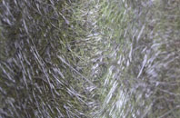 Hillcross fibreglass roof work